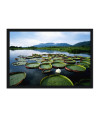 Poster Pantanal - Paisagens Nacionais - Fotografia