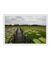 Poster Pantanal - Paisagens Nacionais - Fotografia