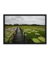 Poster Pantanal - Paisagens Nacionais - Fotografia