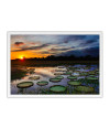 Poster Pantanal - Paisagens Nacionais - Fotografia