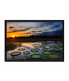Poster Pantanal - Paisagens Nacionais - Fotografia