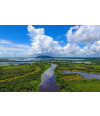 Poster Pantanal - Paisagens Nacionais - Fotografia