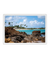 Poster Tabatinga - Paisagens Nacionais - Fotografia