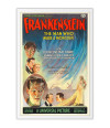 Poster Frankenstein - Terror Vintage - Filmes