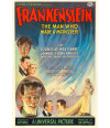 Poster Frankenstein - Terror Vintage - Filmes