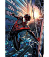 Poster Homem Aranha - Spider Man - Comics - Quadrinhos - Hq