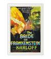 Poster A Noiva Do Frankenstein - Frankenstein’s Bride - Terror - Filmes