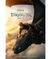 Poster Como Treinar Seu Dragão - How To Train Your Dragon - Live Action - Infantil - Filmes