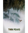 Poster Twin Peaks - Filmes