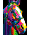 Poster Cavalo - Coleção Colors - Animais