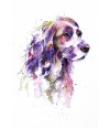 Poster Cachorro - Coleção Colors - Animais