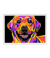 Poster Cachorro - Coleção Colors - Animais