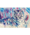Poster Tigre  - Coleção Colors - Animais