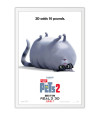 Poster Pets - Vida Secreta Dos Bichos - Filmes - Infantis