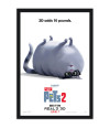 Poster Pets - Vida Secreta Dos Bichos - Filmes - Infantis