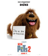 Poster Pets - Vida Secreta Dos Bichos - Filmes - Infantis