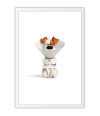 Poster Pets - Vida Secreta Dos Bichos - Filmes - Infantis