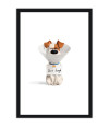Poster Pets - Vida Secreta Dos Bichos - Filmes - Infantis