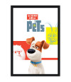 Poster Pets - Vida Secreta Dos Bichos - Filmes - Infantis