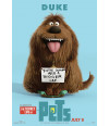 Poster Pets - Vida Secreta Dos Bichos - Filmes - Infantis