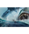 Poster O Grande Tubarão Branco - Filmes