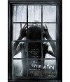 Poster Duas Irmas - Uninvited Miterio