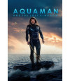 Poster Aquaman e o Reino Perdido - Aquaman And The Lost Kingdom - DC Comix - Filmes