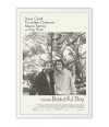 Poster Beautiful Boy - Querido Menino - Timothee Chalamet - Steve Carell - Filmes