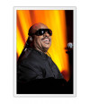 Poster Stevie Wonder - Artistas Pop