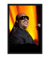 Poster Stevie Wonder - Artistas Pop