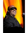 Poster Stevie Wonder - Artistas Pop