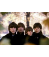 Poster The Beatles - Bandas de Rock