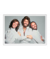 Poster Bee Gees - Disco - Artistas Pop