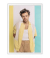 Poster Harry Styles - Former One Direction - Pop