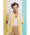 Poster Harry Styles - Former One Direction - Pop