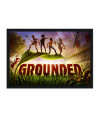 Poster Grounded - Games