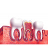 Poster Odontologia - Odontology - Profissões