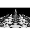 Poster Chess - Xadrez