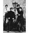 Poster The Beatles - Bandas de Rock