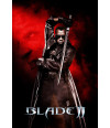 Poster Blade 2 - Filmes