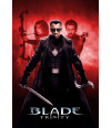 Poster Blade Trinity - Filmes