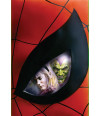 Poster Spiderman - Homem Aranha - Marvel - Comics