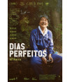Poster Perfect Days - Dias Perfeitos - Filmes
