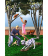 Poster Game Sims 2 Pets