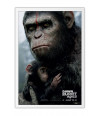 Poster Planeta dos Macacos