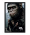 Poster Planeta dos Macacos