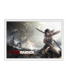 Poster Tomb Raider 20
