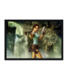 Poster Tomb Raider Anniversary