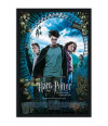 Poster Harry Potter 3 e O Prisioneiro de Azkaban - Filmes