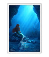 Poster Little Mermaid - A Pequena Sereia - Filmes